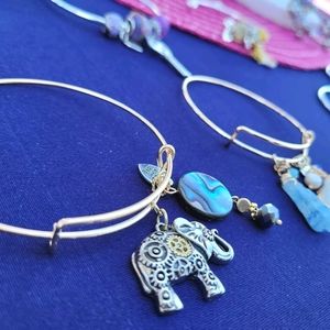 Bangle Charms